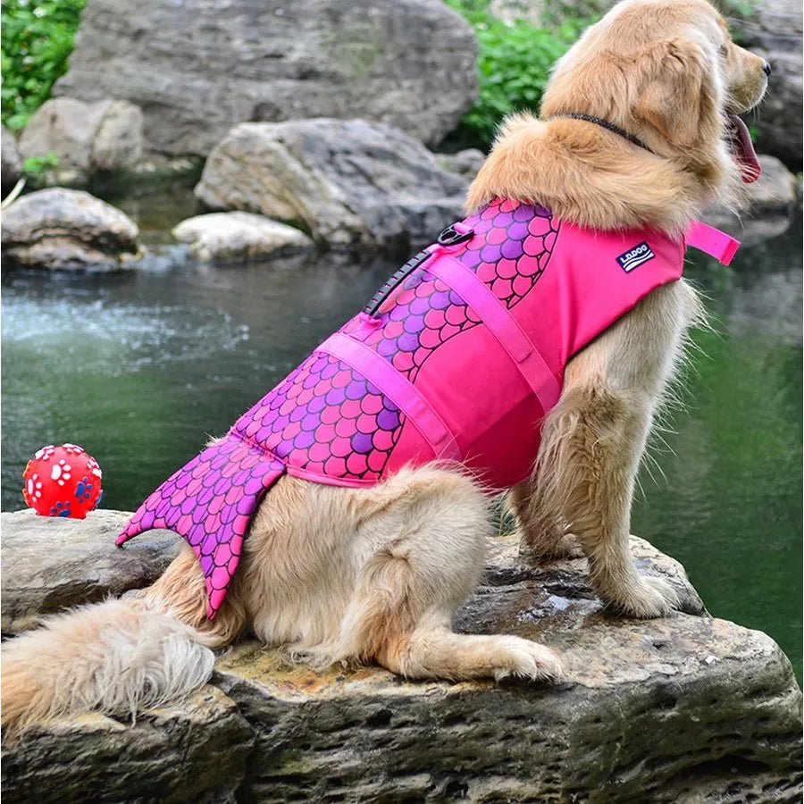 gilet-flottaison-chien-sirene-rose-plage-mer
