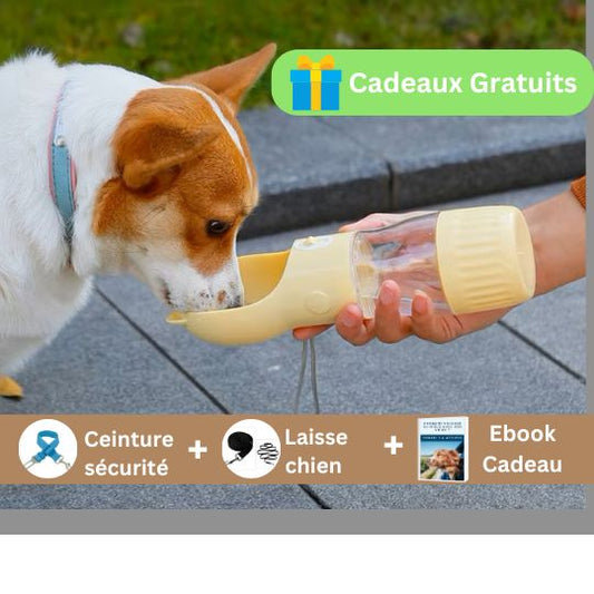 Gourde pour chien - Drink Food