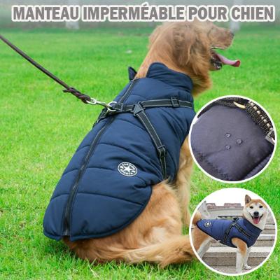 Harnais Chien - Jacket - PuppyDog Zone