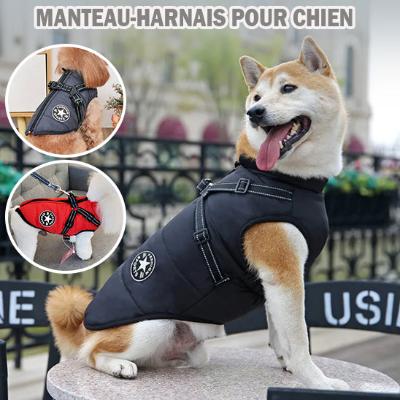 Harnais Chien - Jacket - PuppyDog Zone