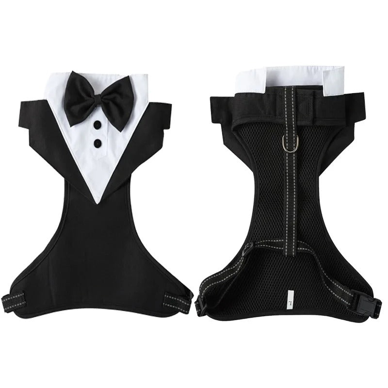 Harnais chien tuxedo pour grand chien