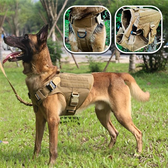 Harnais pour chien | Chasse - Dressage - Formation - PuppyDog Zone