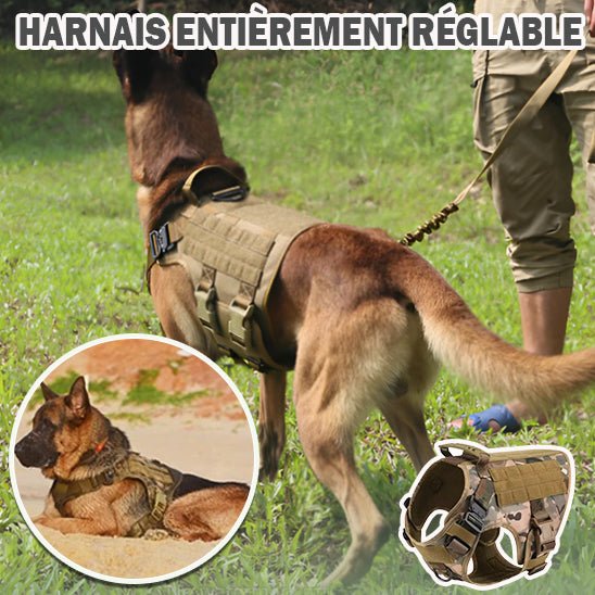 Harnais pour chien | Chasse - Dressage - Formation - PuppyDog Zone