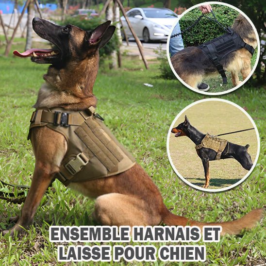 Harnais pour chien | Chasse - Dressage - Formation - PuppyDog Zone