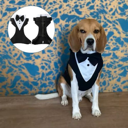 Harnais chien | Tuxedo UltraChic