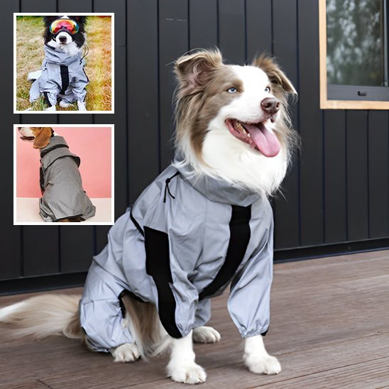 Imperméable pour chien | GlowDoggy™ - PuppyDog Zone