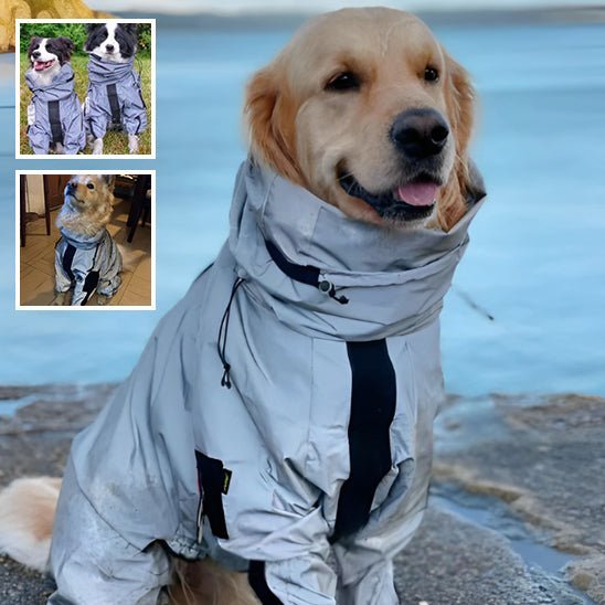 Imperméable pour chien | GlowDoggy™ - PuppyDog Zone