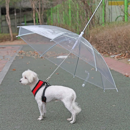 laisse pour chien parapluie attache au harnais ou collier