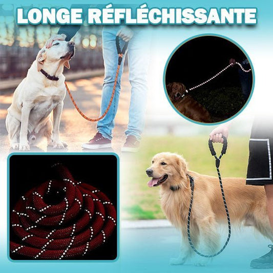 Laisse pour chien | Tresse Réfléchissante™ - PuppyDog Zone