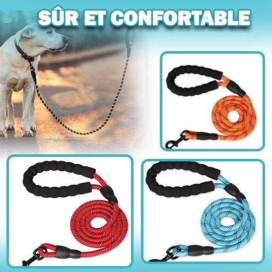 Laisse pour chien | Tresse Réfléchissante™ - PuppyDog Zone