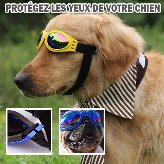 Lunette pour chien | GoggleDog™ - PuppyDog Zone