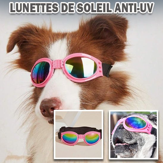 Lunette pour chien | GoggleDog™ - PuppyDog Zone