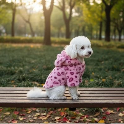 Manteau Chien rose bichon maltais assis table pic nic dehors