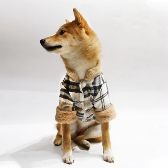Manteau pour chien à bouton-pression facile a mettre