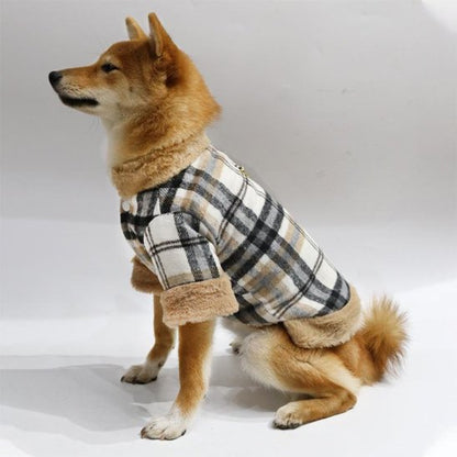 Manteau pour chien protege dos et ventre du froid