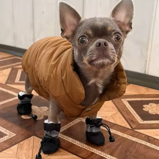 petit chihuahua brun porte un manteau rembourré brun avec des bottes pour chien