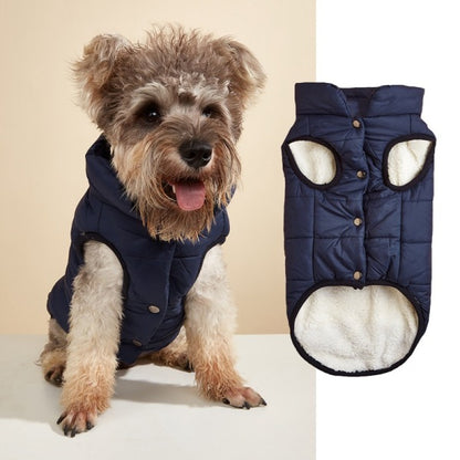 chien moyen assis avec son manteau pour chien rembourré bleu marine