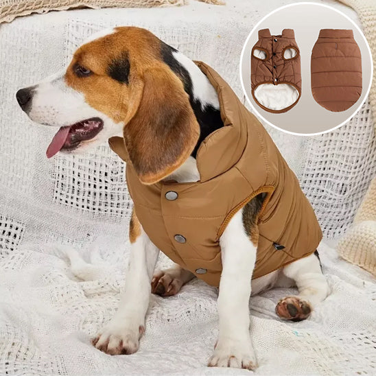 Manteau d'hiver rembourré pour chien de taille moyenne - Border Collie avec veste polaire brune