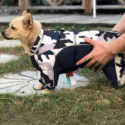 Petit chien porte un manteau pour chien couvrant le dos le ventre et les pattes