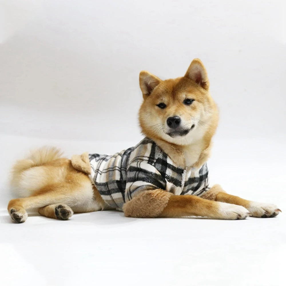chien Akita Inu porte un manteau pour chien style écossait doublé