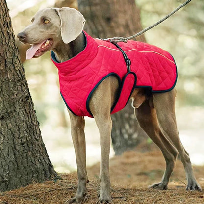 manteau pour chien variante rouge