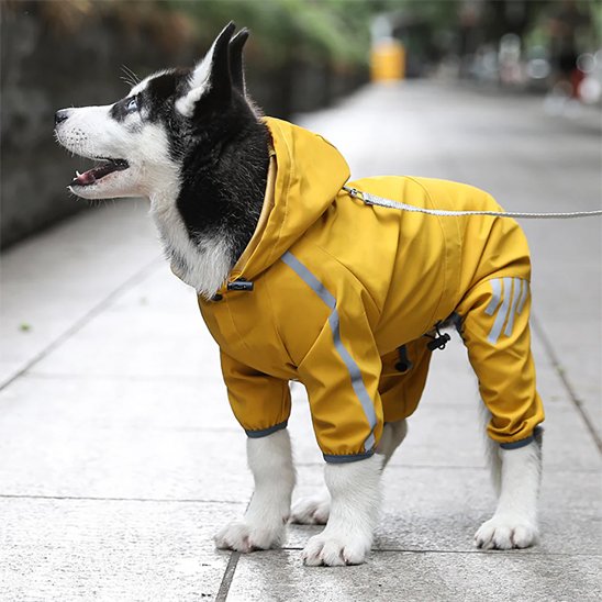 Manteau imperméable pour chien avec protection complète du dos