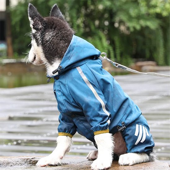 Manteau imperméable pour chien avec capuchon et fermeture éclair