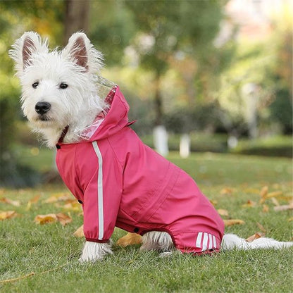 Chien portant un manteau imperméable rouge avec détails réfléchissants