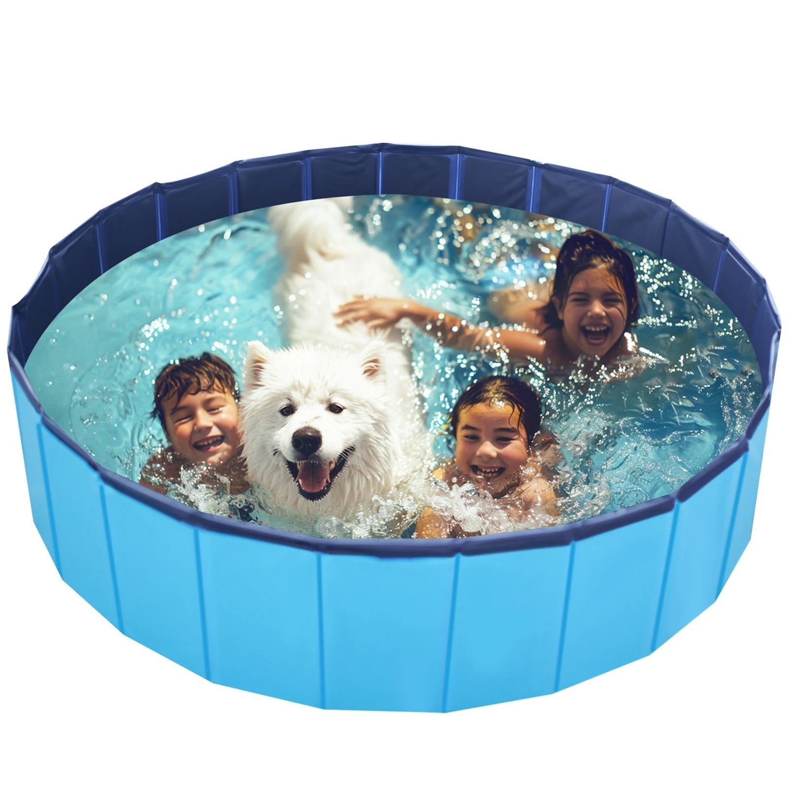 Piscine pour chien | DoggyPool™ - PuppyDog Zone