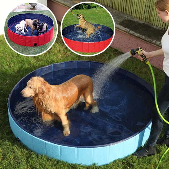 Piscine pour chien | DoggyPool™ - PuppyDog Zone