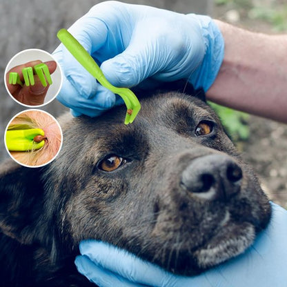 Pince à Tique Professionnelle pour Animaux | PetProtect™