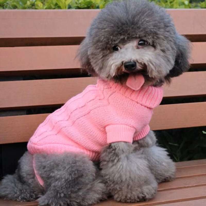 Chien caniche miniature gris avec pull en tricot rose