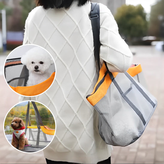 une-maitresse-qui-promène-son-chien-dans-un-sac-fourre-tout-en-maille